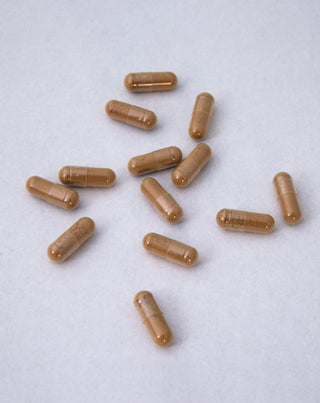 Ginkgo Biloba lehtiuute Nutridome 60 kpl. - 2