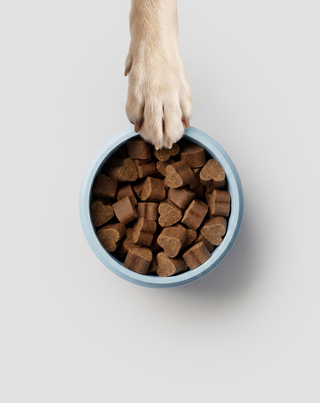 Joint & Bone support täydennysravinne koirille nivelille ja luustolle Oggo 180 g - 5