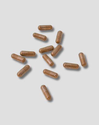 Ginkgo Biloba lehtiuute Nutridome 60 kpl._2