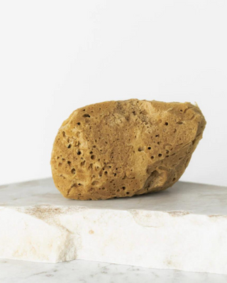 Luonnollinen merisieni ruskea 9,5 cm 02F hypoallergeeninen ja antibakteerinen Hhuumm - 2